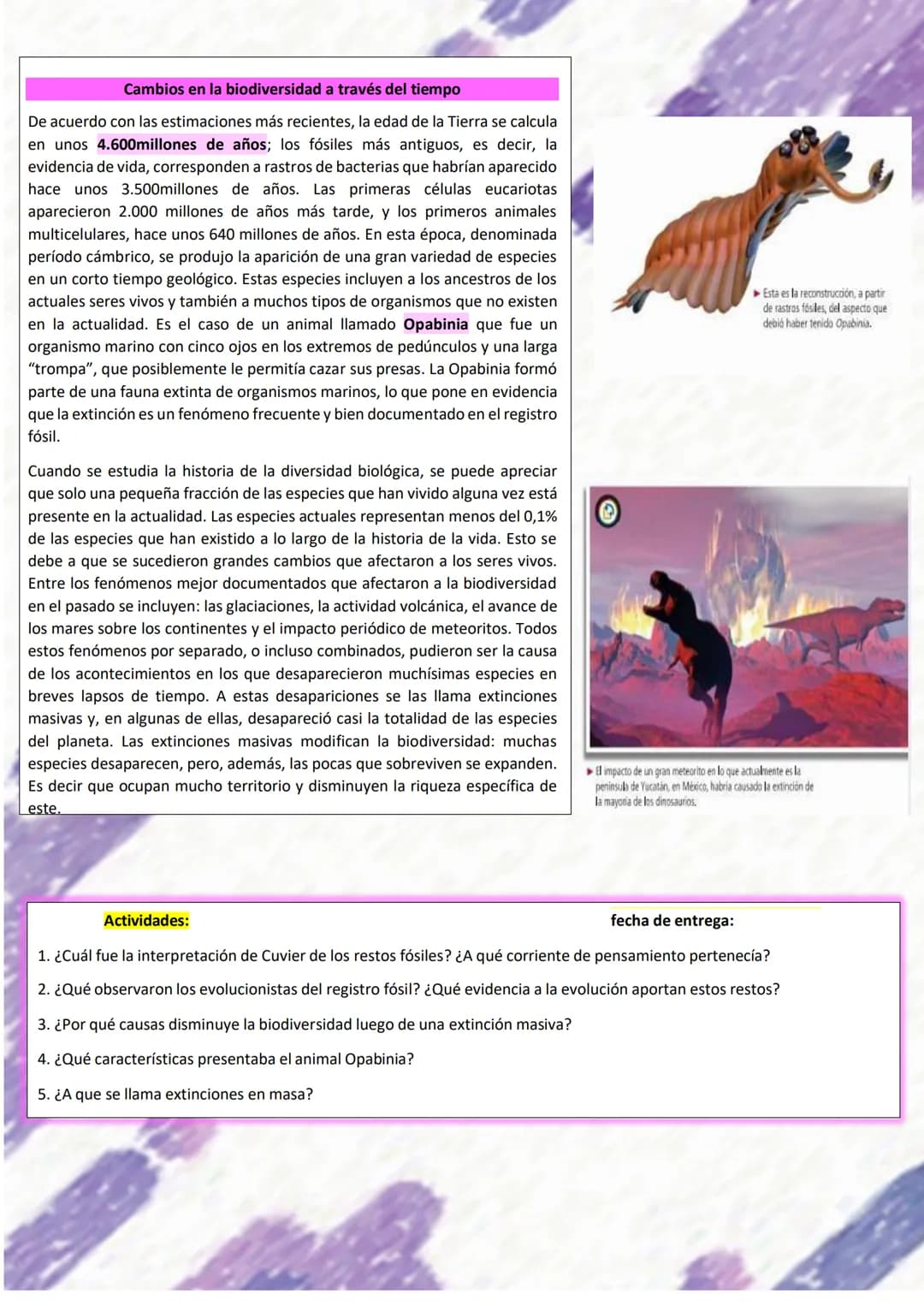 # BIOLOGÍA
## 2º AÑO
Instituto Evangélico Los Pinares
Profesora Sara Ruth Benitez
2025 Resumen de seres vivos
Los seres vivos son sistema