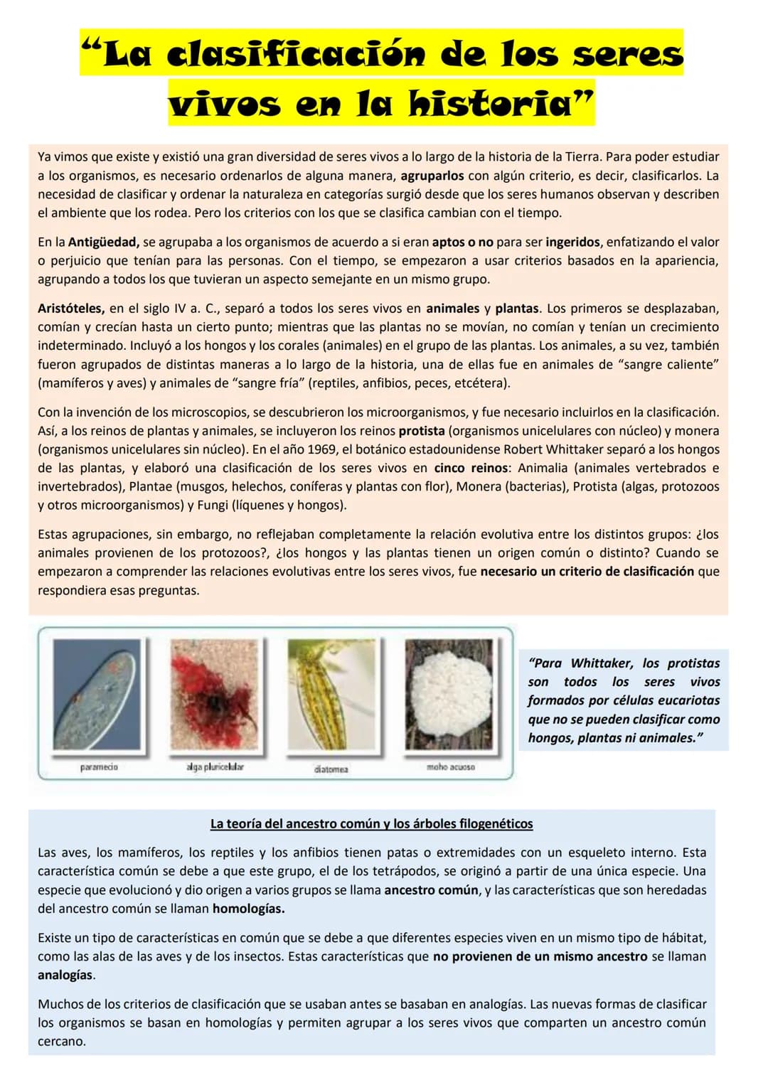 # BIOLOGÍA
## 2º AÑO
Instituto Evangélico Los Pinares
Profesora Sara Ruth Benitez
2025 Resumen de seres vivos
Los seres vivos son sistema