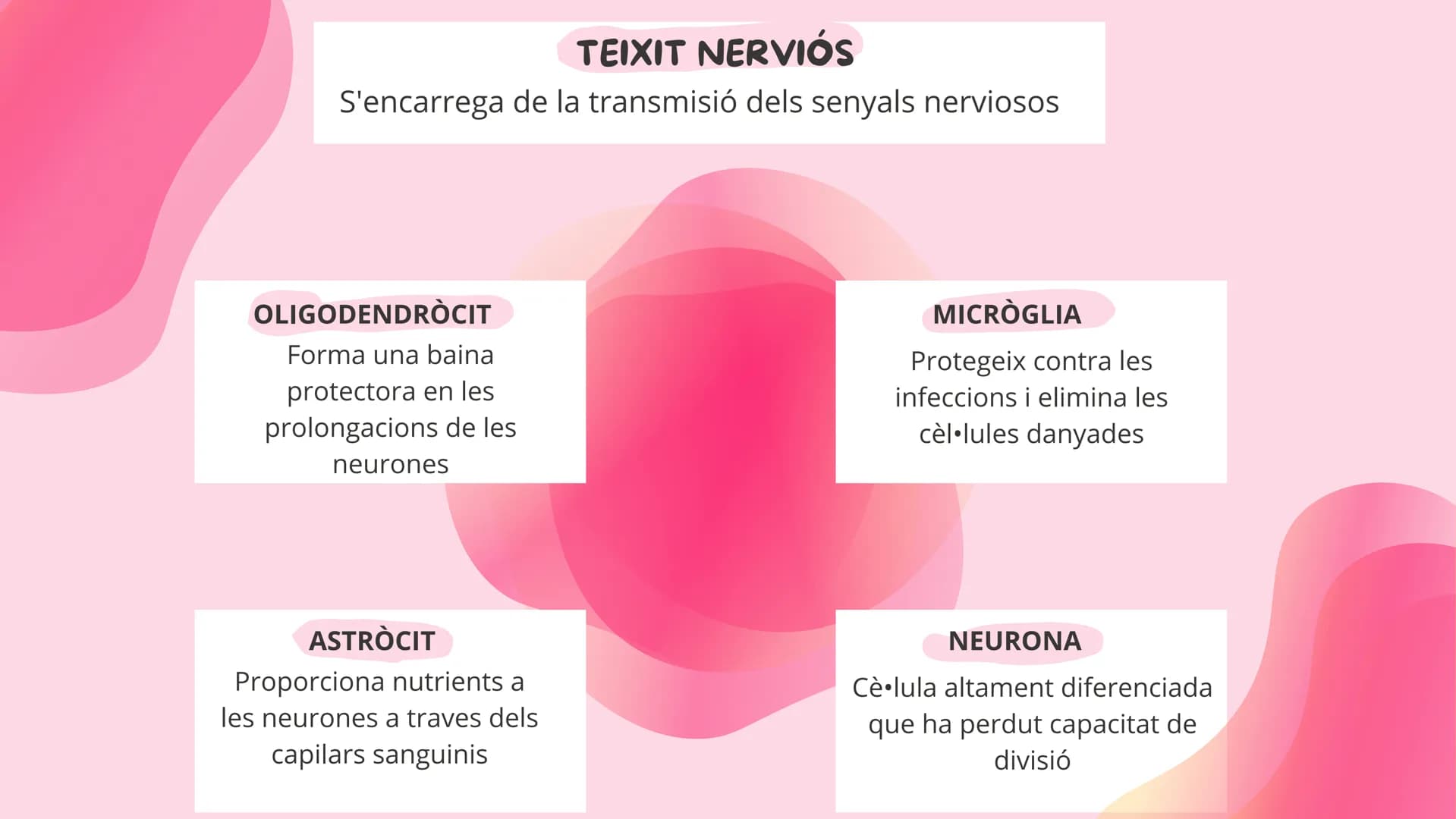 # TEMA 1
EL COS HUMÁ 1 ELS NIVELLS D'ORGANITZACIÓ
NIVELL
ATOMIC
Format pels àtoms
anomenat
bioelements
NIVELL
MOLECULAR
Format per molécu