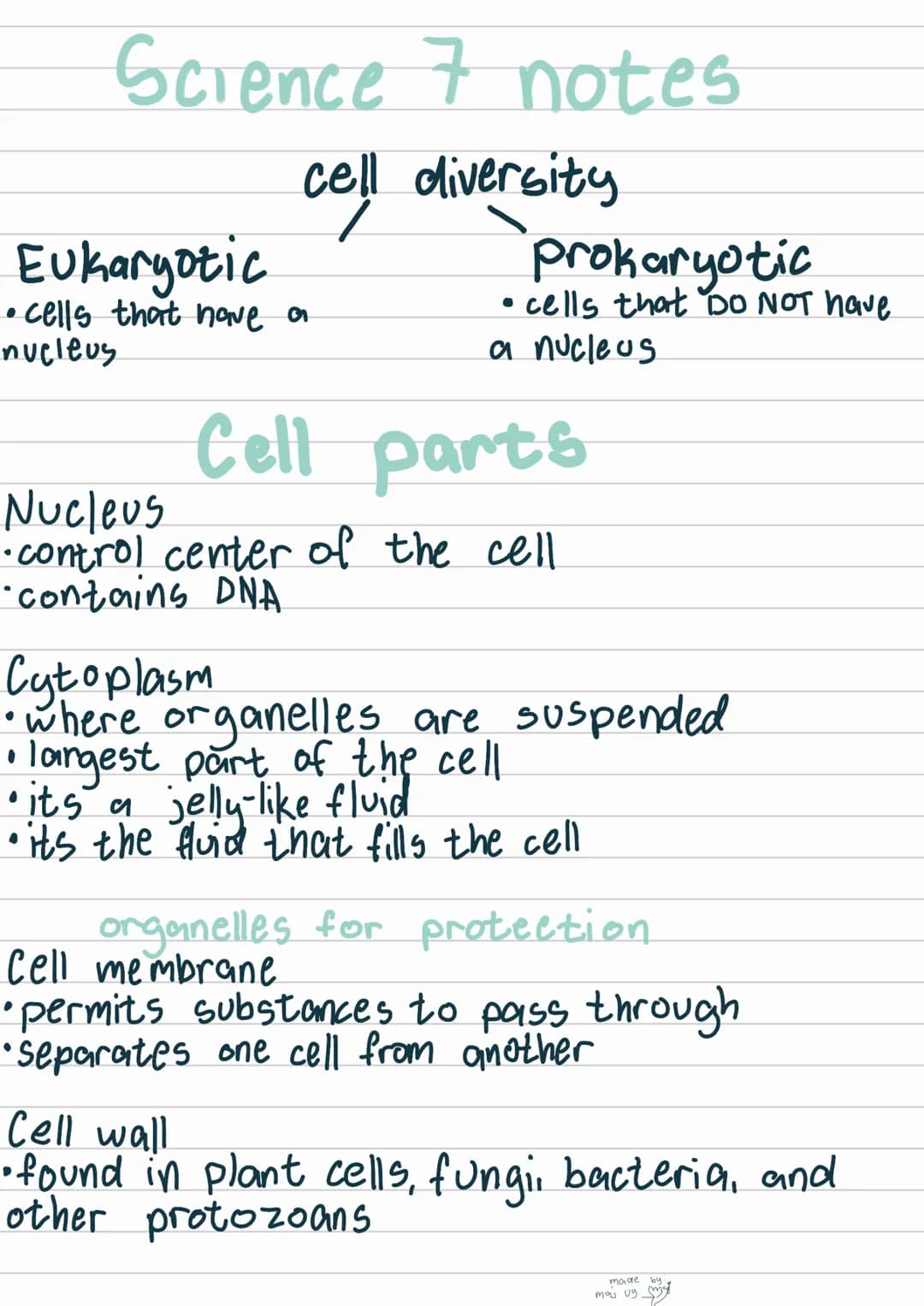 Science 7 notes
cell diversity
Eukaryotic
• cells that have a
nucleus
Prokaryotic
• cells that DO NOT have
a nucleus
Cell parts
Nucleus
• co