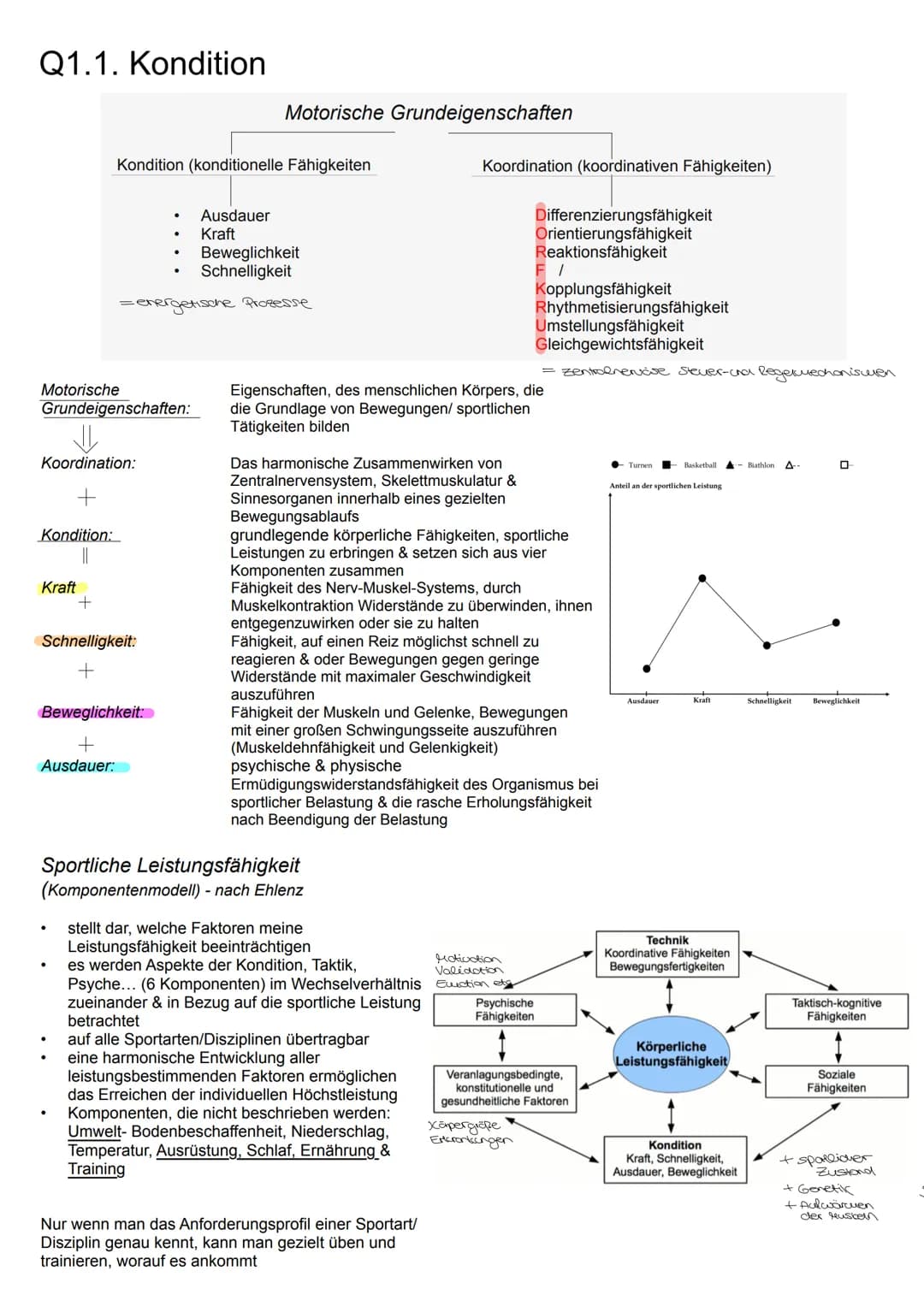 Q1.1. Kondition
Motorische Grundeigenschaften
Kondition (konditionelle Fähigkeiten
Motorische
Ausdauer
Kraft
Beweglichkeit
Schnelligkeit
=en