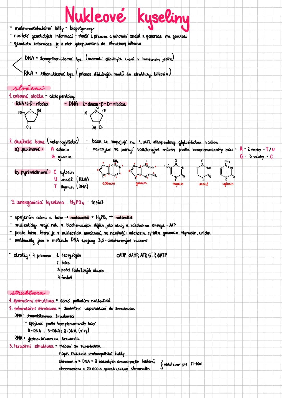 ## Bilkoviny
- proteiny
- makromolekulární sloučeniny - polykondenzáty aminokyselin
- biopolymery složené z jednoho nebo více polypeptidový