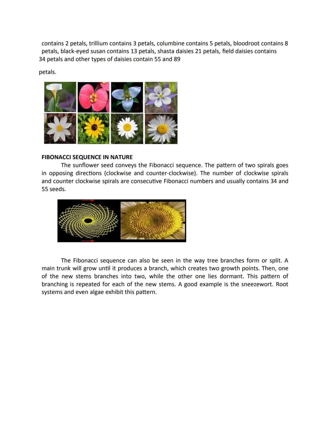 Mathematics In The Modern World
Module #1
Topic: THE NATURE OF MATHEMATICS
MATHEMATICS is:
• the study of pattern and structure.
• a useful