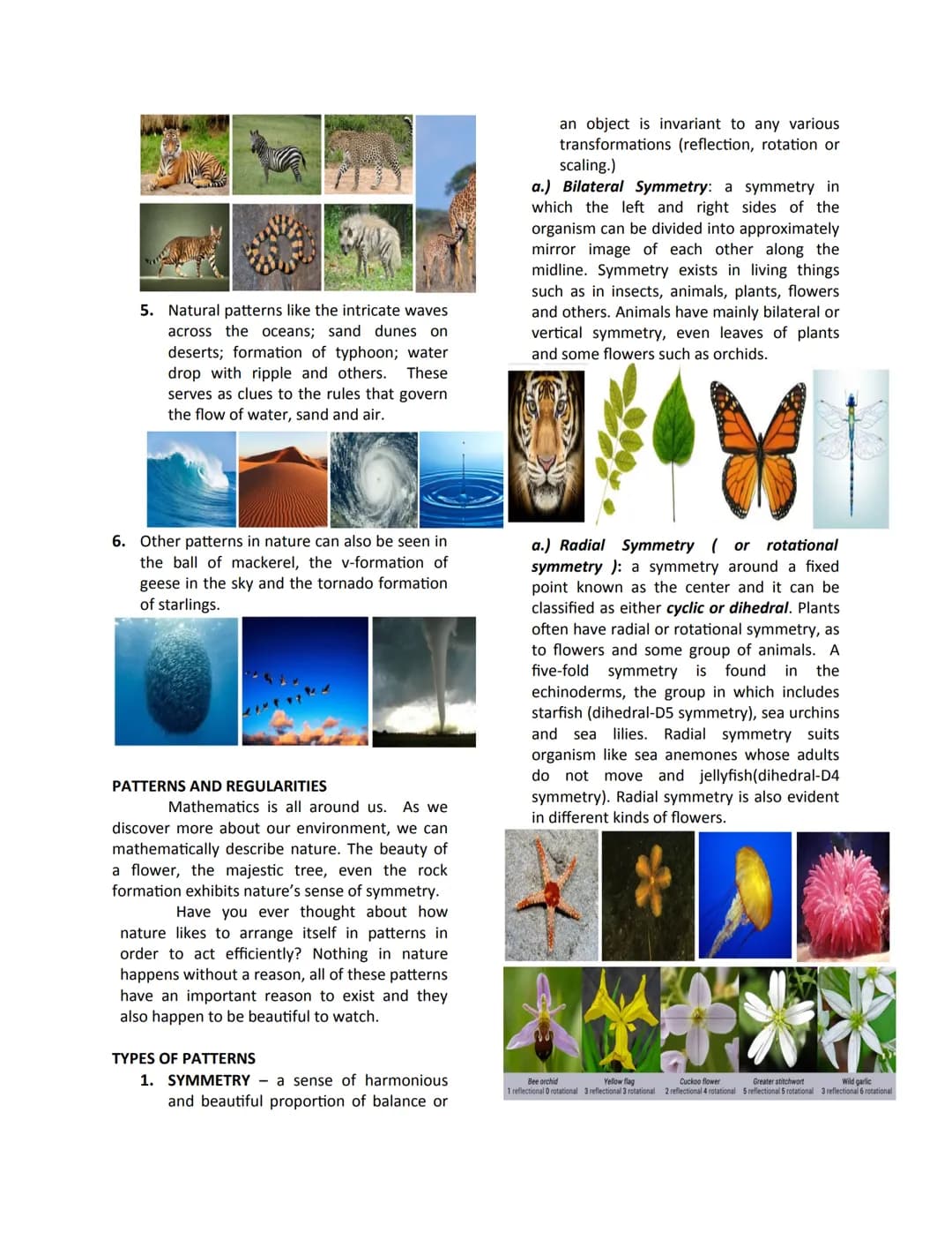 Mathematics In The Modern World
Module #1
Topic: THE NATURE OF MATHEMATICS
MATHEMATICS is:
• the study of pattern and structure.
• a useful