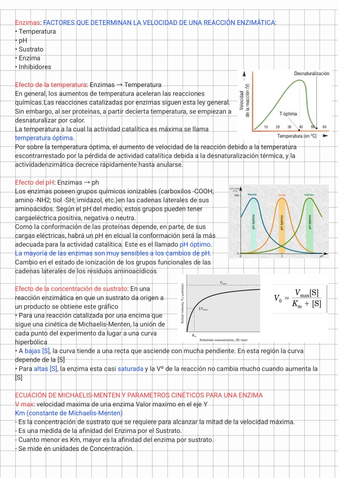 Enzimas: FACTORES QUE DETERMINAN LA VELOCIDAD DE UNA REACCIÓN ENZIMÁTICA:
• Temperatura
• pH
• Sustrato
• Enzima
• Inhibidores
Efecto de la