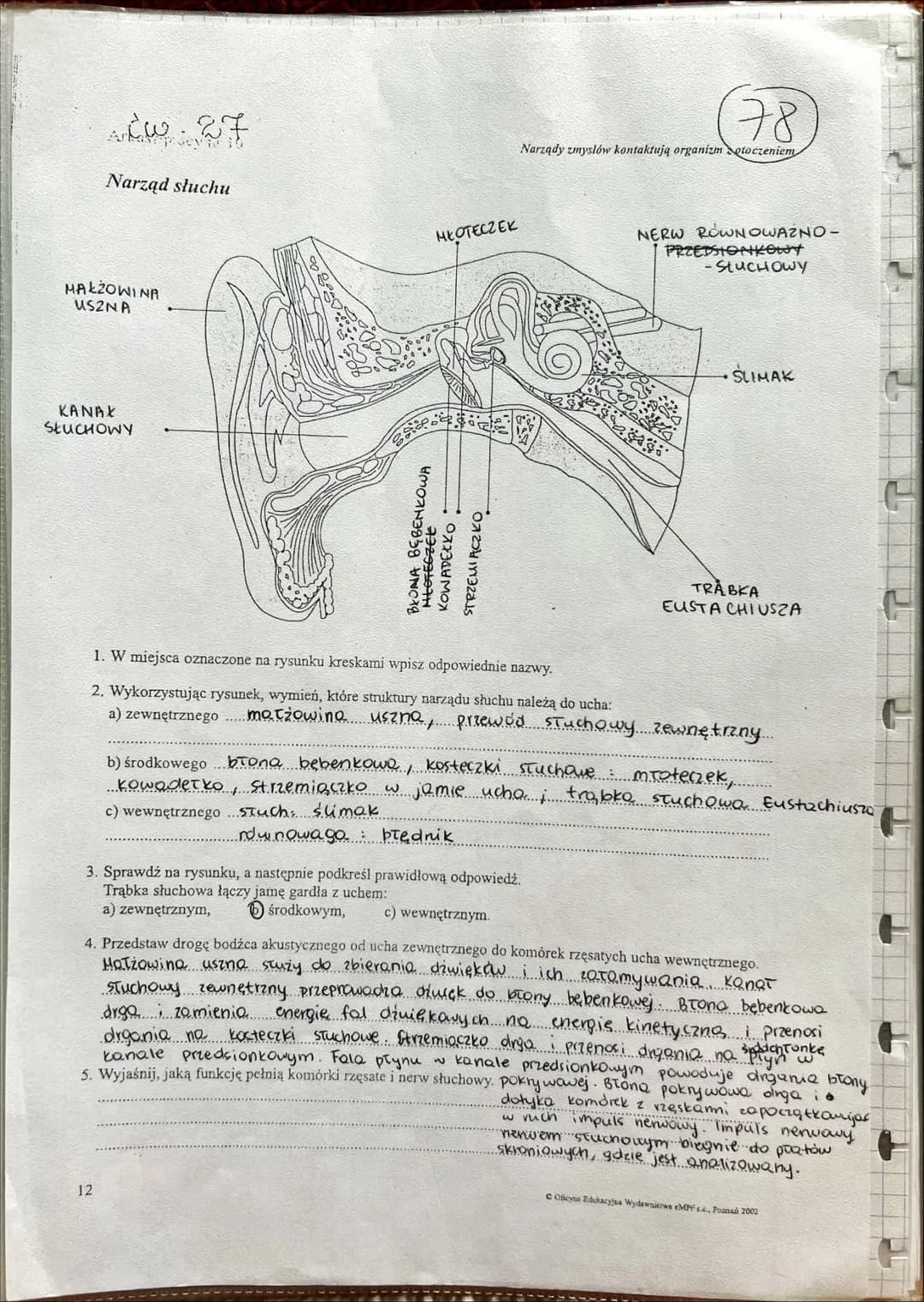 NARZ
ADY
ZMYŚKÓW --- OCR Start ---
NARZĄDY ZMYSŁÓW
złożoność budowy
JEDNOKOMORKOWE
zmysły skórne
SKUPISKA KOMOREK
CZUCIOWYCH
zmysły chemiczn