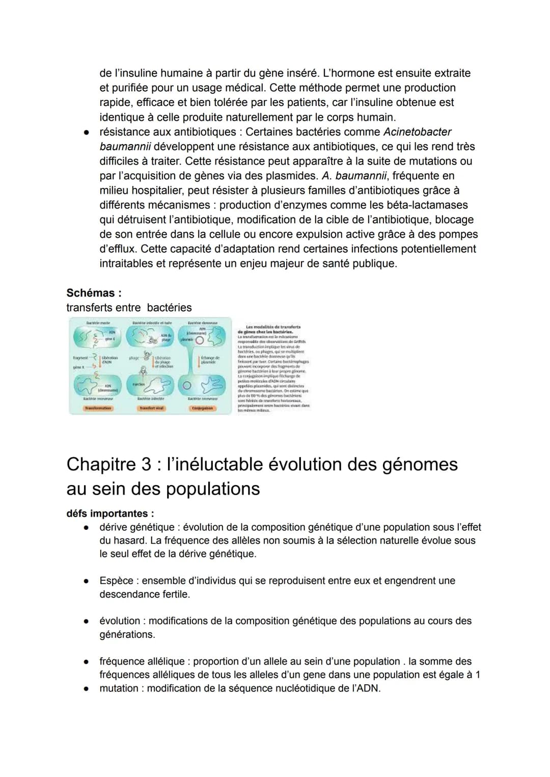 Bac SVT
Theme 1 : la terre, la vie et l'organisation du vivant
chap 1 : l'origine du génotype des individus :
défs importante:
• mitose: la