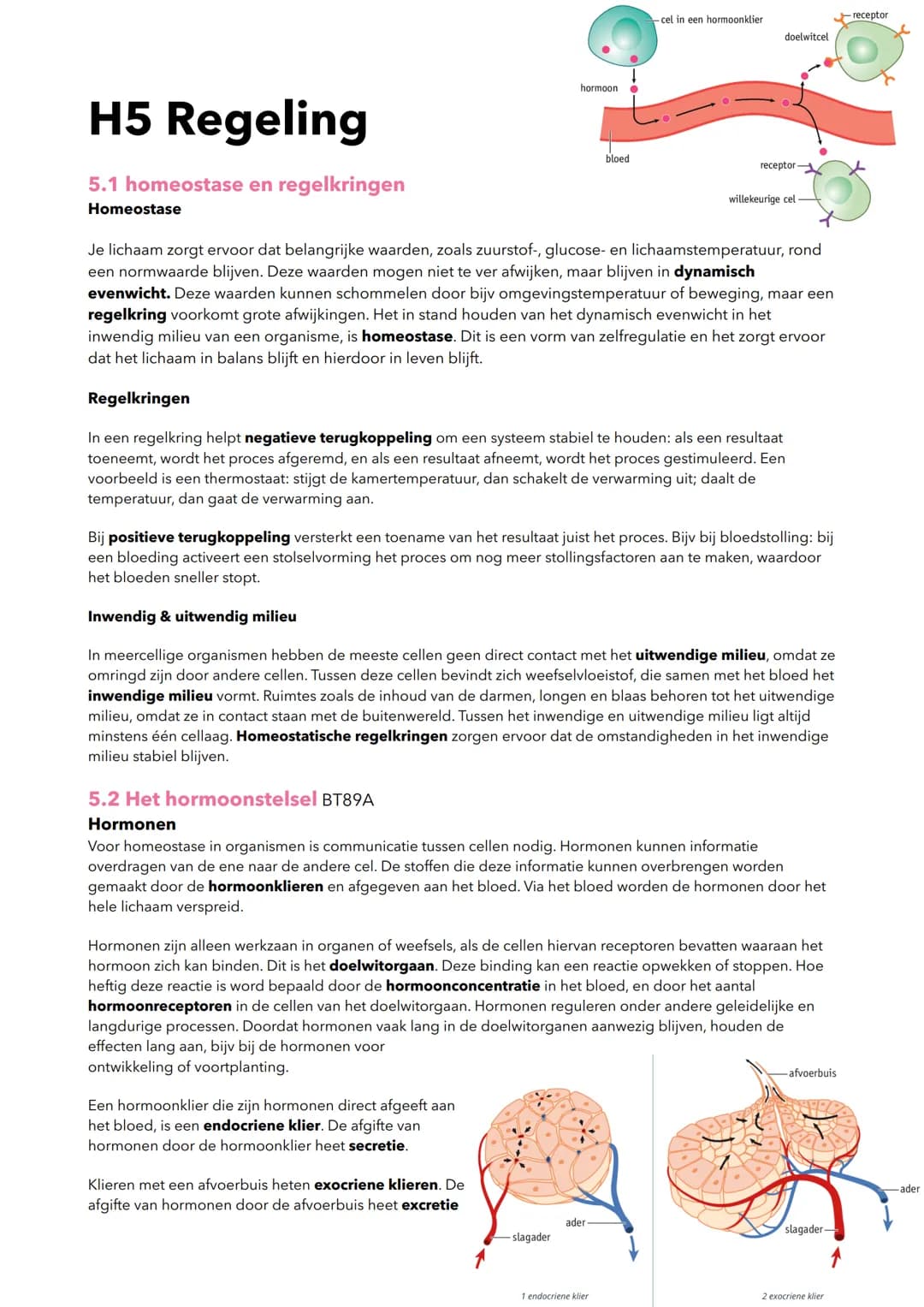 hormoon
-cel in een hormoonklier
receptor
doelwitcel
H5 Regeling
5.1 homeostase en regelkringen
Homeostase
bloed
receptor
willekeurige cel
J