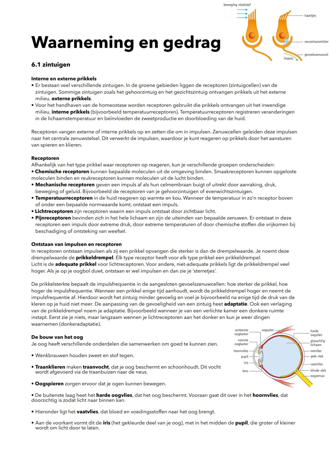 # Waarneming en gedrag
## 6.1 zintuigen
**Interne en externe prikkels**
* Er bestaan veel verschillende zintuigen. In de groene gebieden