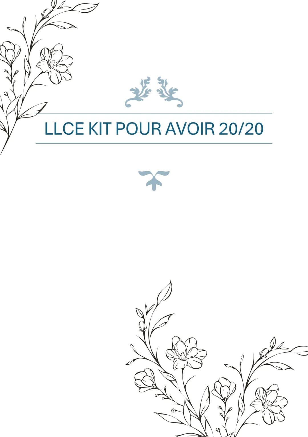 LLCE KIT POUR AVOIR 20/20 SOMMAIRE
* Analyse d'un poème...p.3
* Analyse d'un document iconographique...p.4-5
* Analyse d'un extrait littera