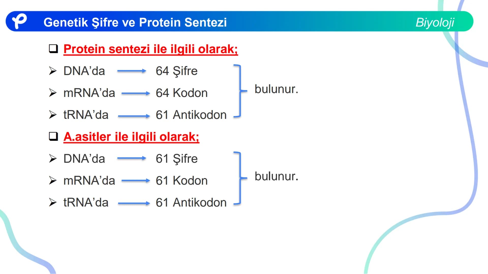 ## Biyoloji
## GENETİK ŞİFRE VE
## PROTEİN SENTEZİ ## Genetik Şifre ve Protein Sentezi
## Genetik Şifre
- **Şifre:** Bir bilgiyi bir form