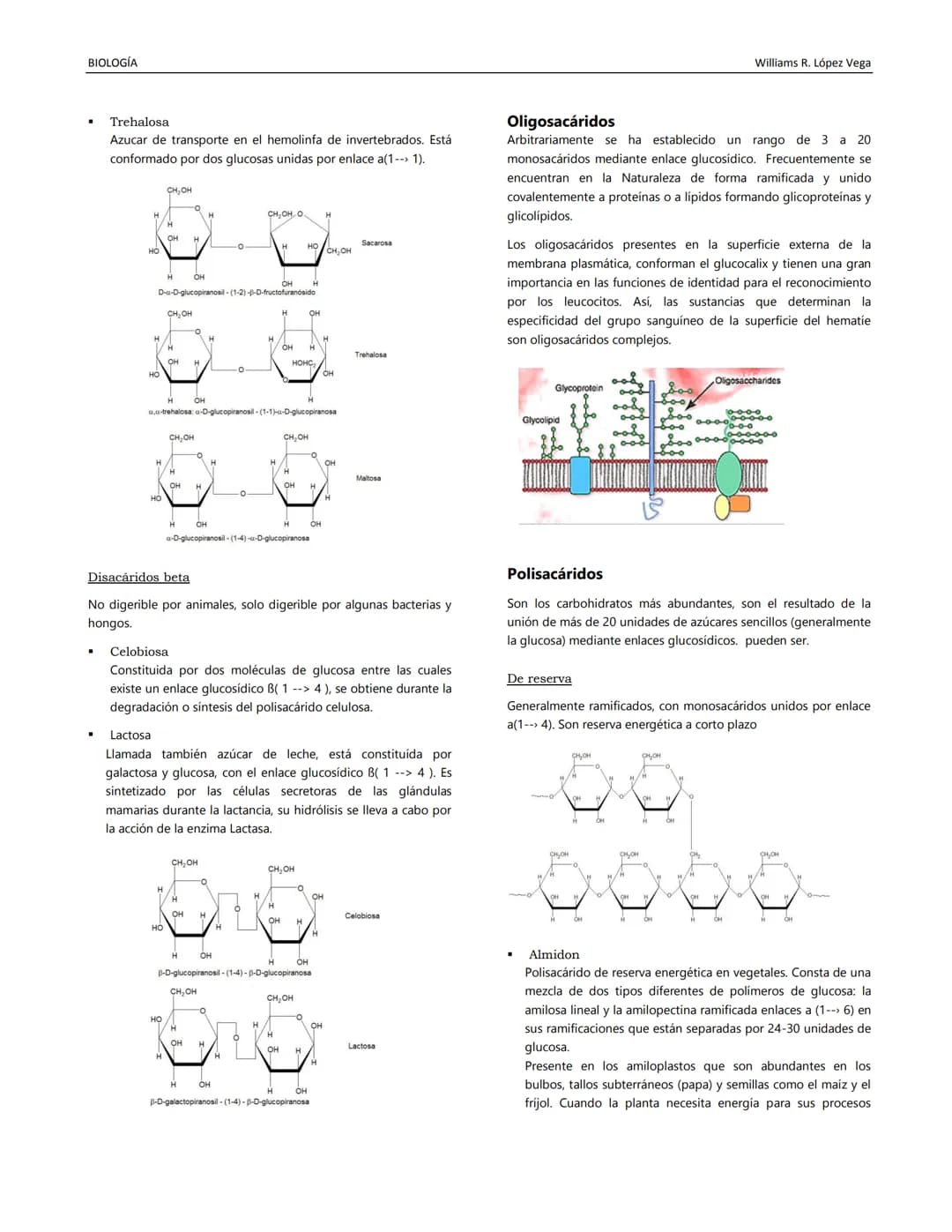 BIOLOGÍA
Williams R. López Vega
BIOQUÍMICA II
Disciplina estudia la composición química de los
organismos vivientes y sus transformaciones.