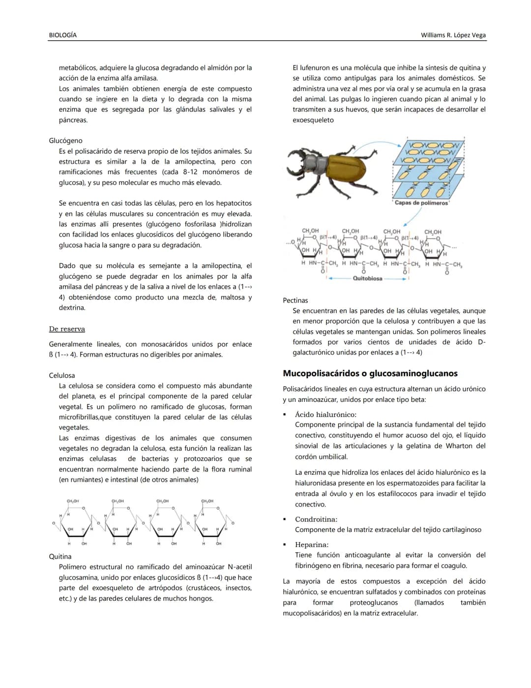 BIOLOGÍA
Williams R. López Vega
BIOQUÍMICA II
Disciplina estudia la composición química de los
organismos vivientes y sus transformaciones.