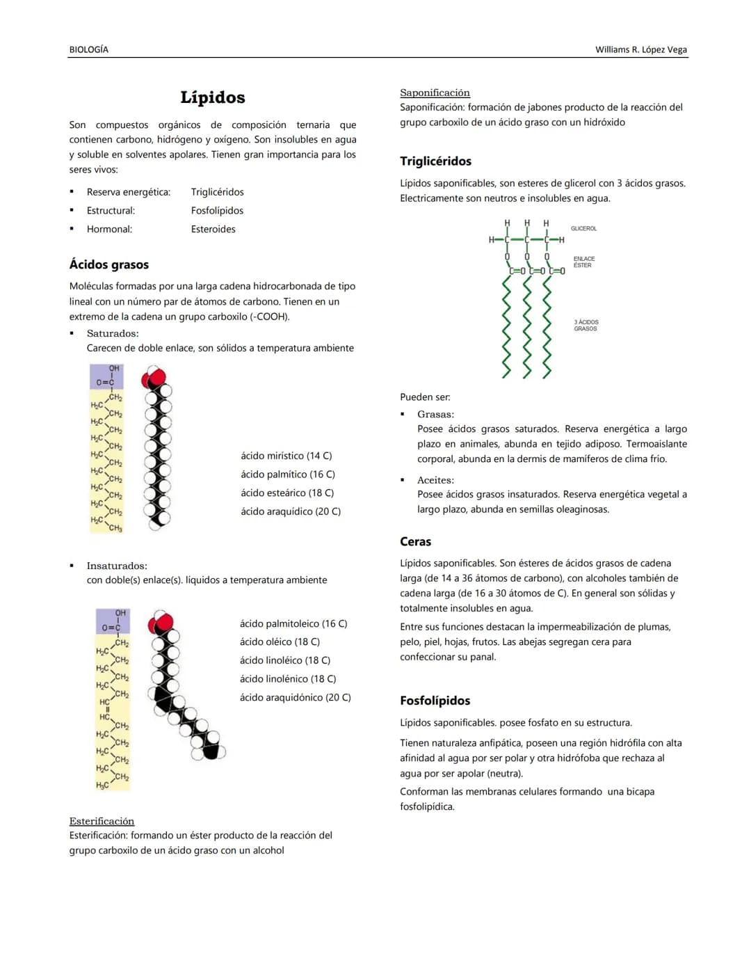 BIOLOGÍA
Williams R. López Vega
BIOQUÍMICA II
Disciplina estudia la composición química de los
organismos vivientes y sus transformaciones.