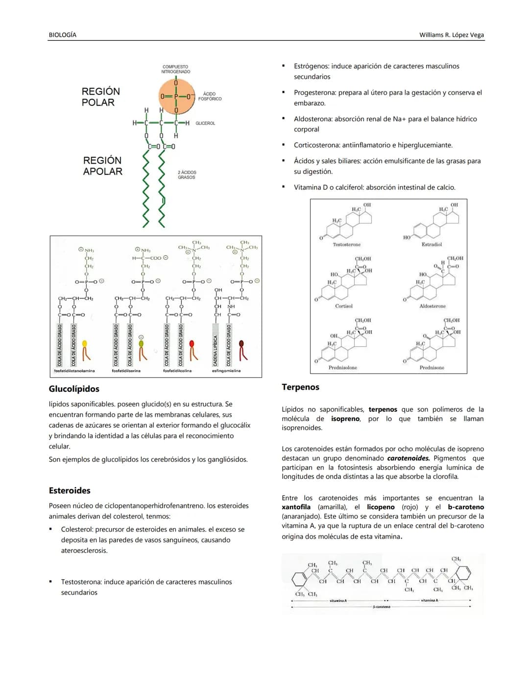 BIOLOGÍA
Williams R. López Vega
BIOQUÍMICA II
Disciplina estudia la composición química de los
organismos vivientes y sus transformaciones.