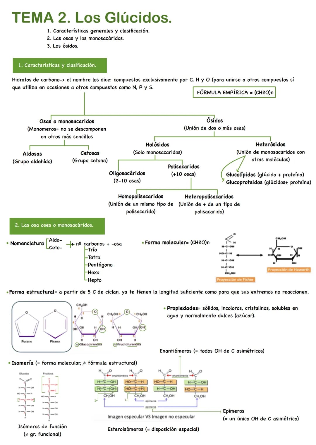 TEMA 2. Los Glúcidos.
1. Características generales y clasificación.
2. Las osas y los monosacáridos.
3. Los ósidos.
1. Características y cla