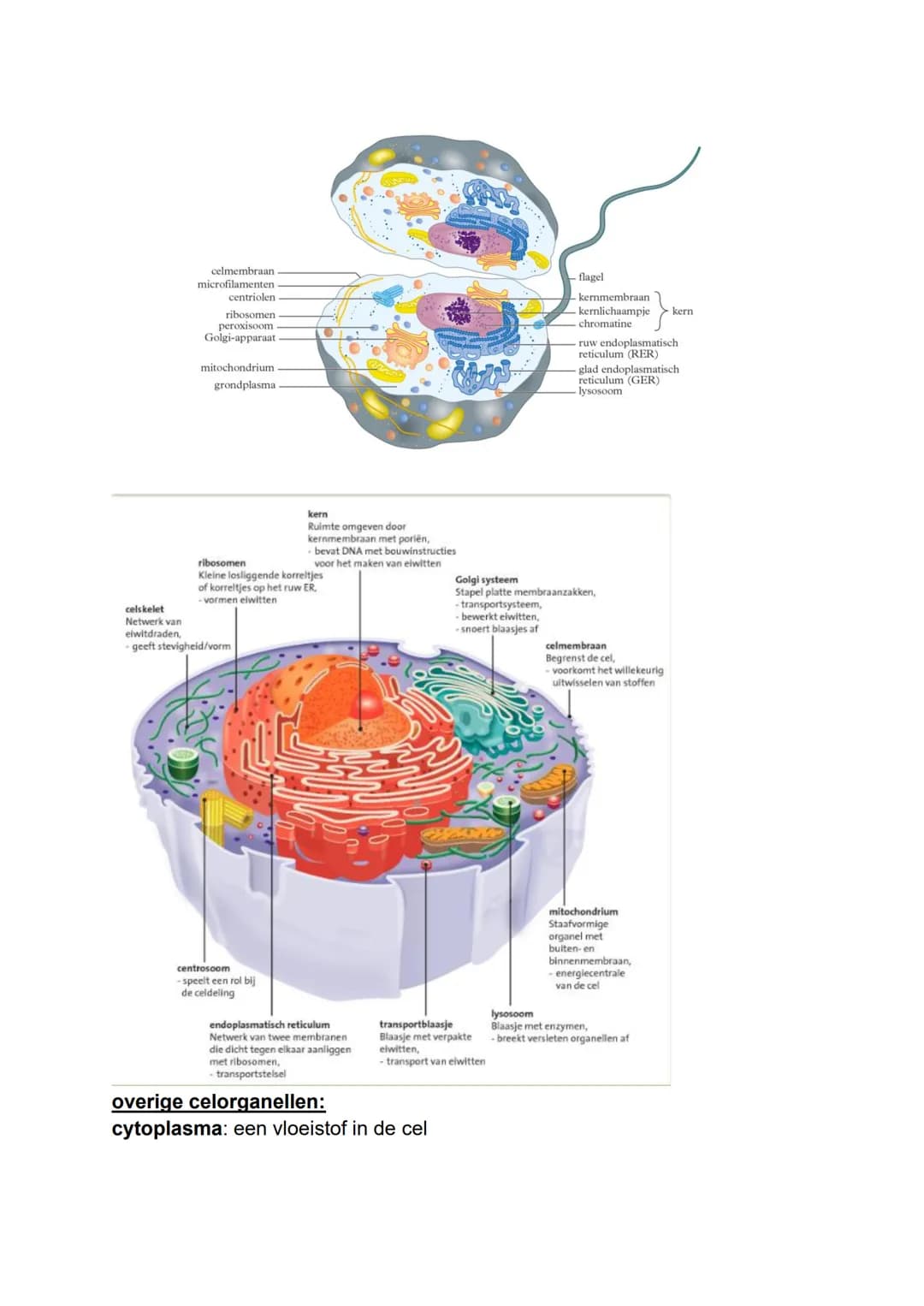BIOLOGIE SAMENVATTING H1 EN H2
PARAGRAAF 1.1 - COMMUNICATIE
★ gedrag: alles wat een mens of dier doet of nalaat (niet doet)
★ signaal: een p