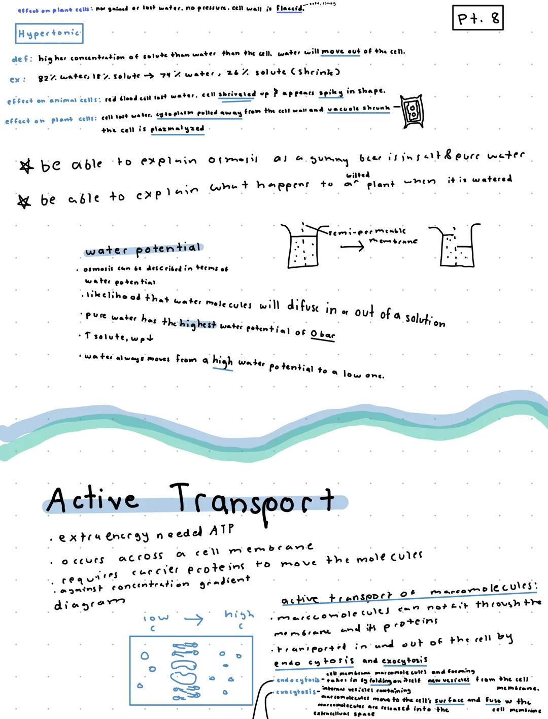 P+.1
Cells and Cell Parts
miller-urey experiment - the origin of life on this planet
demonstrated the abiotic synthesis of organic compounds