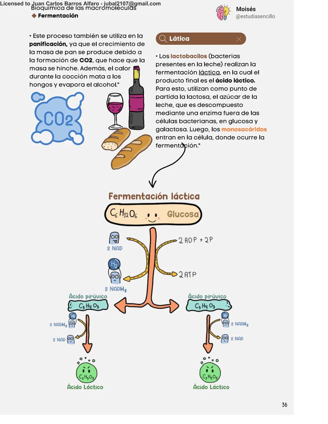 Licensed to Juan Carlos Barros Alfaro - jubal2107@gmail.com
Bioquímica de las macromoléculas
◆ Fermentación
Moisés
@estudiasencillo
Resume