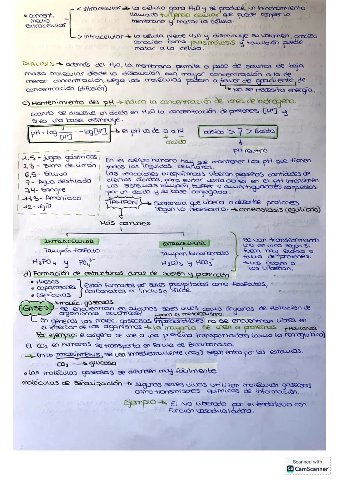 BIOLOGIA TEMA 1.
BASE FISICOQUIMICA DE LA VIDA.
1. BIOELEMENTOS Y BIOMOLÉCULAS.
- Bioelementas o elementos biogénicas: elementos químicos q