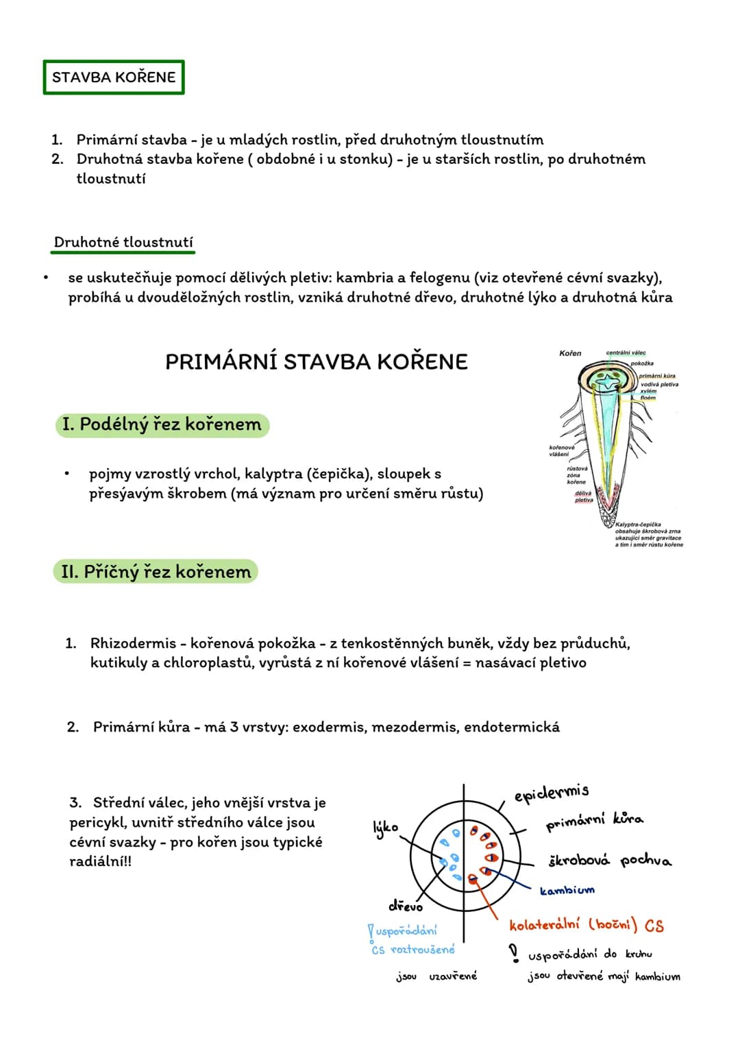 # Stavba rostlinného těla
- Rostlinná morfologie (vnější stavba)
- Rostlinná anatomie (vnitřní stavba)
Stavbení hierarchie:
Reprodukční
(