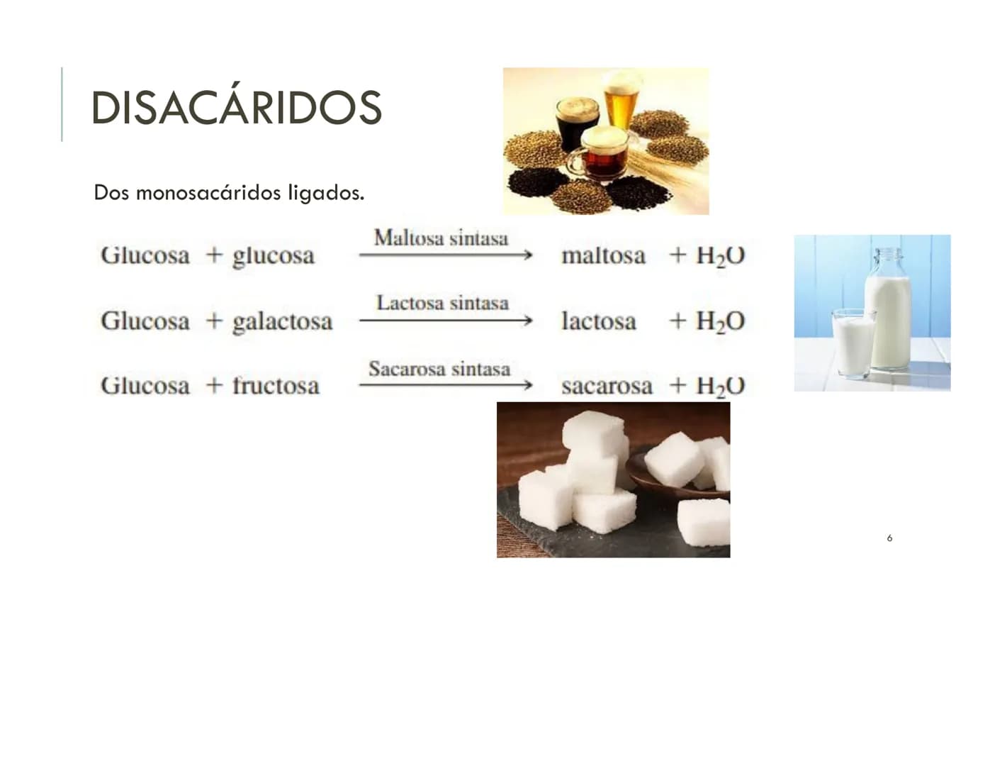 | BIOQUIMICA
Dra. Layla Simón
lsimon@uft.cl REPASO SOLEMNE 2
1. Química Orgánica
2. Enzimas
3. Introducción al metabolismo
4. Metabolismo