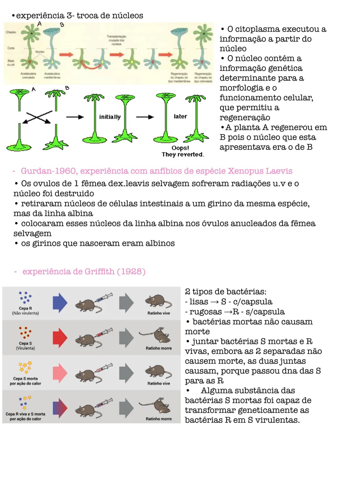 # Biologia # célula
células procarióticas célula simples, sem núcleo organizado, sem a maioria
das estruturas celulares conhecidas.
são por