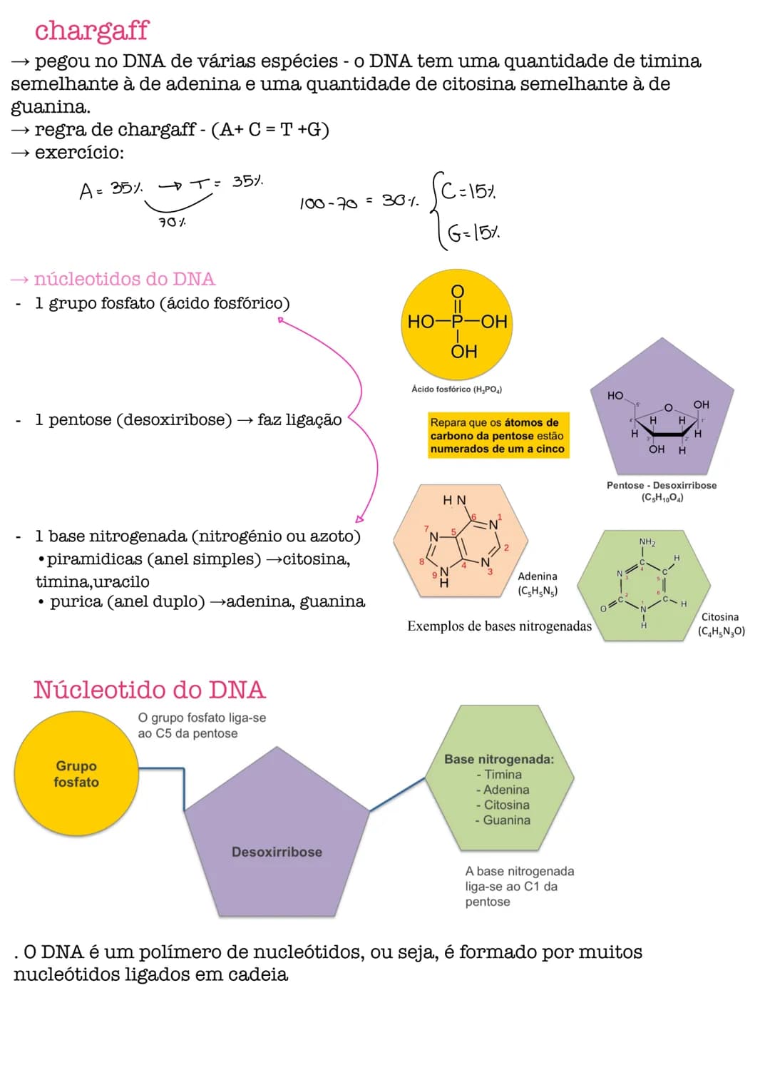 # Biologia # célula
células procarióticas célula simples, sem núcleo organizado, sem a maioria
das estruturas celulares conhecidas.
são por