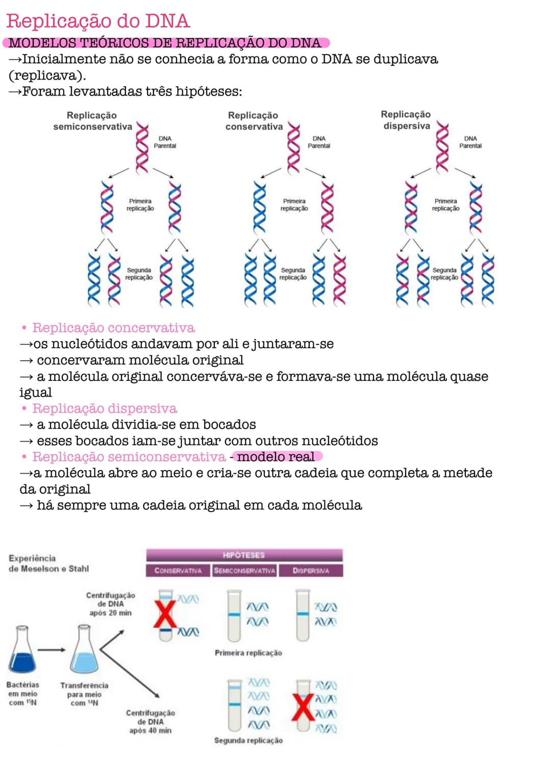 # Biologia # célula
células procarióticas célula simples, sem núcleo organizado, sem a maioria
das estruturas celulares conhecidas.
são por