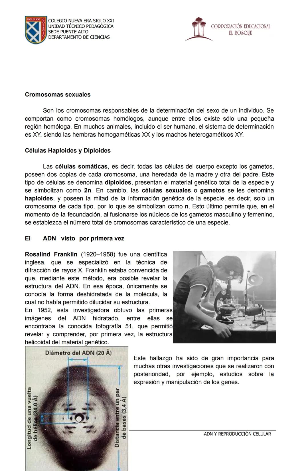 COLEGIO NUEVA ERA SIGLO XXI
UNIDAD TÉCNICO PEDAGÓGICA
SEDE PUENTE ALTO
DEPARTAMENTO DE CIENCIAS
CORPORACIÓN EDUCACIONAL
EL BOSQUE
# MATERI