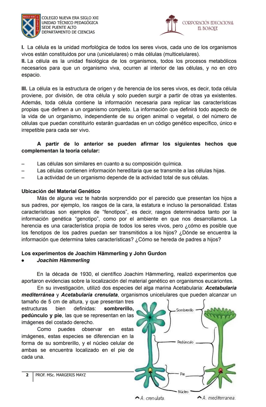 COLEGIO NUEVA ERA SIGLO XXI
UNIDAD TÉCNICO PEDAGÓGICA
SEDE PUENTE ALTO
DEPARTAMENTO DE CIENCIAS
CORPORACIÓN EDUCACIONAL
EL BOSQUE
# MATERI