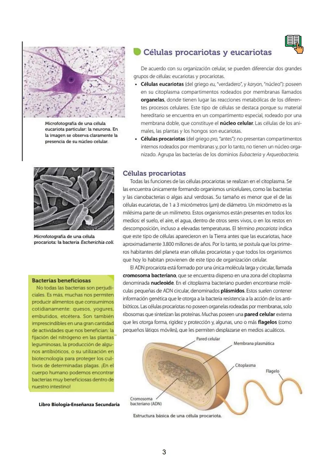 # Célula. Teoria Celular. Clasificación: Célula Procariota y
Eucariota: Animal y Vegetal. Organelas y sus funciones.
El perfeccionamiento d