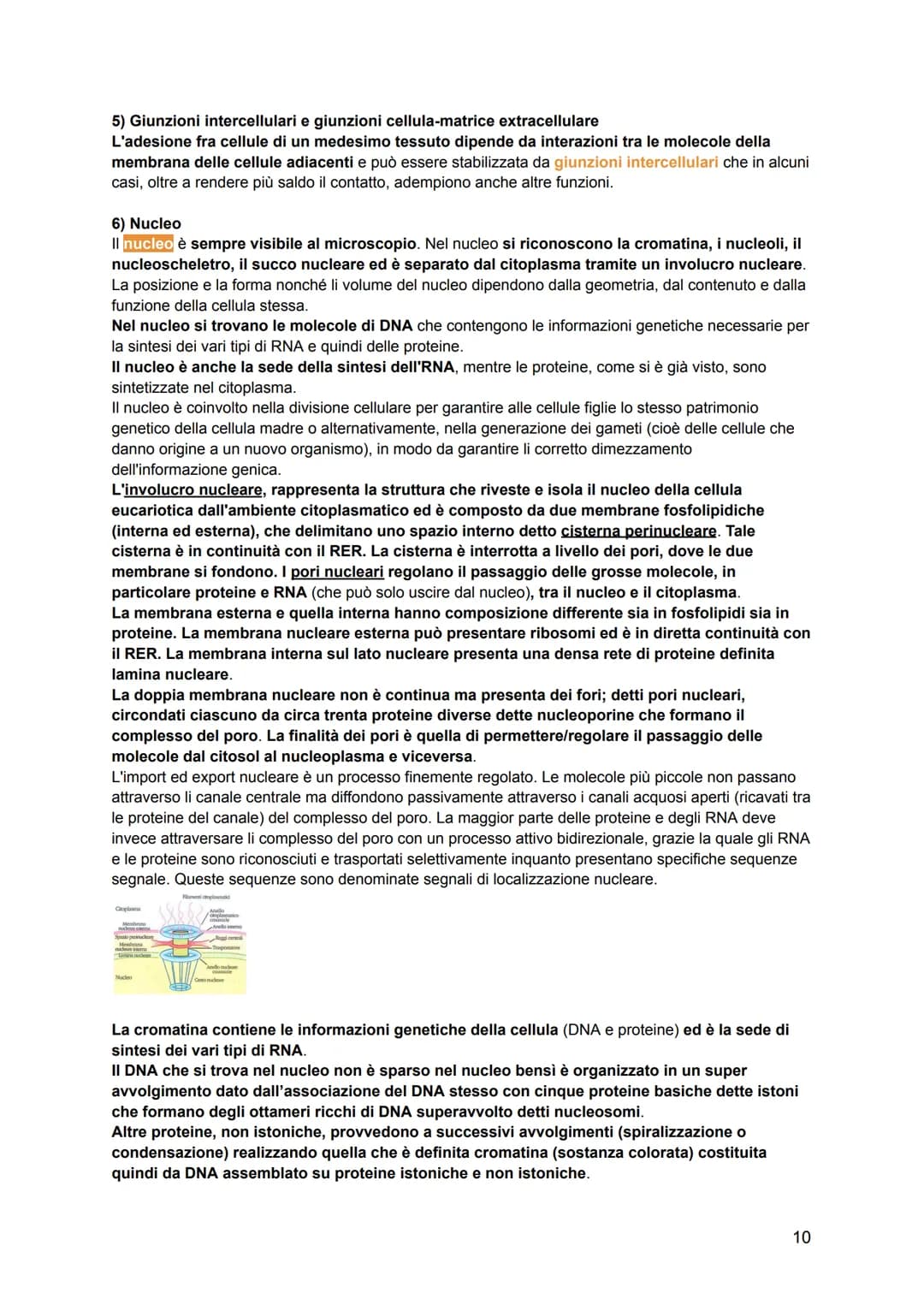 # ISTOLOGIA
L'istologia viene divisa in:
-citologia: lo studio della struttura della cellula e delle sue parti
-istologia: lo studio dell
