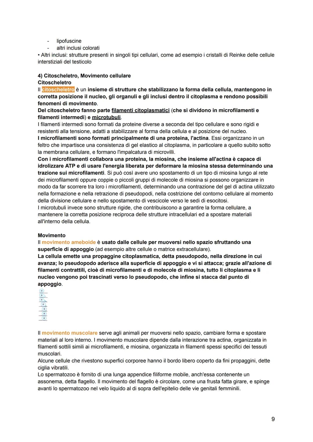 # ISTOLOGIA
L'istologia viene divisa in:
-citologia: lo studio della struttura della cellula e delle sue parti
-istologia: lo studio dell