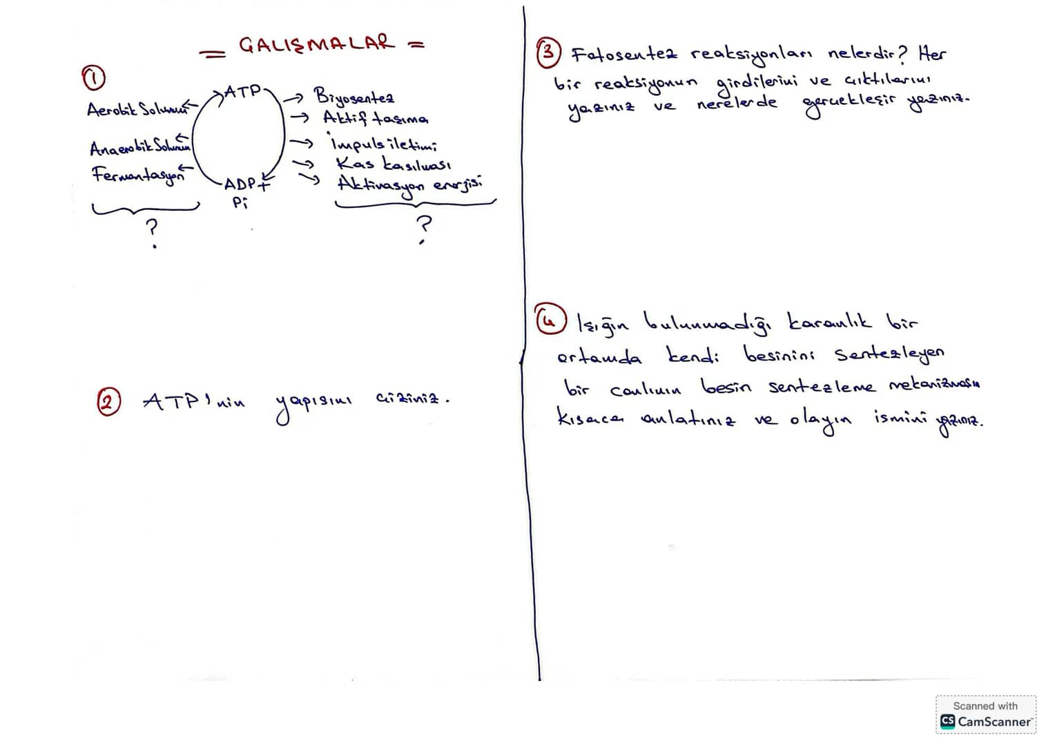 ```markdown
= GALIŞMALAR =
①
Aerobik Solunur ATP.
Anaerobik Solun
Fermentasyon
ADP
Pi
?
→Biyosentez
→Aktif taşıma
→ Impuls iletimi
Kas kası