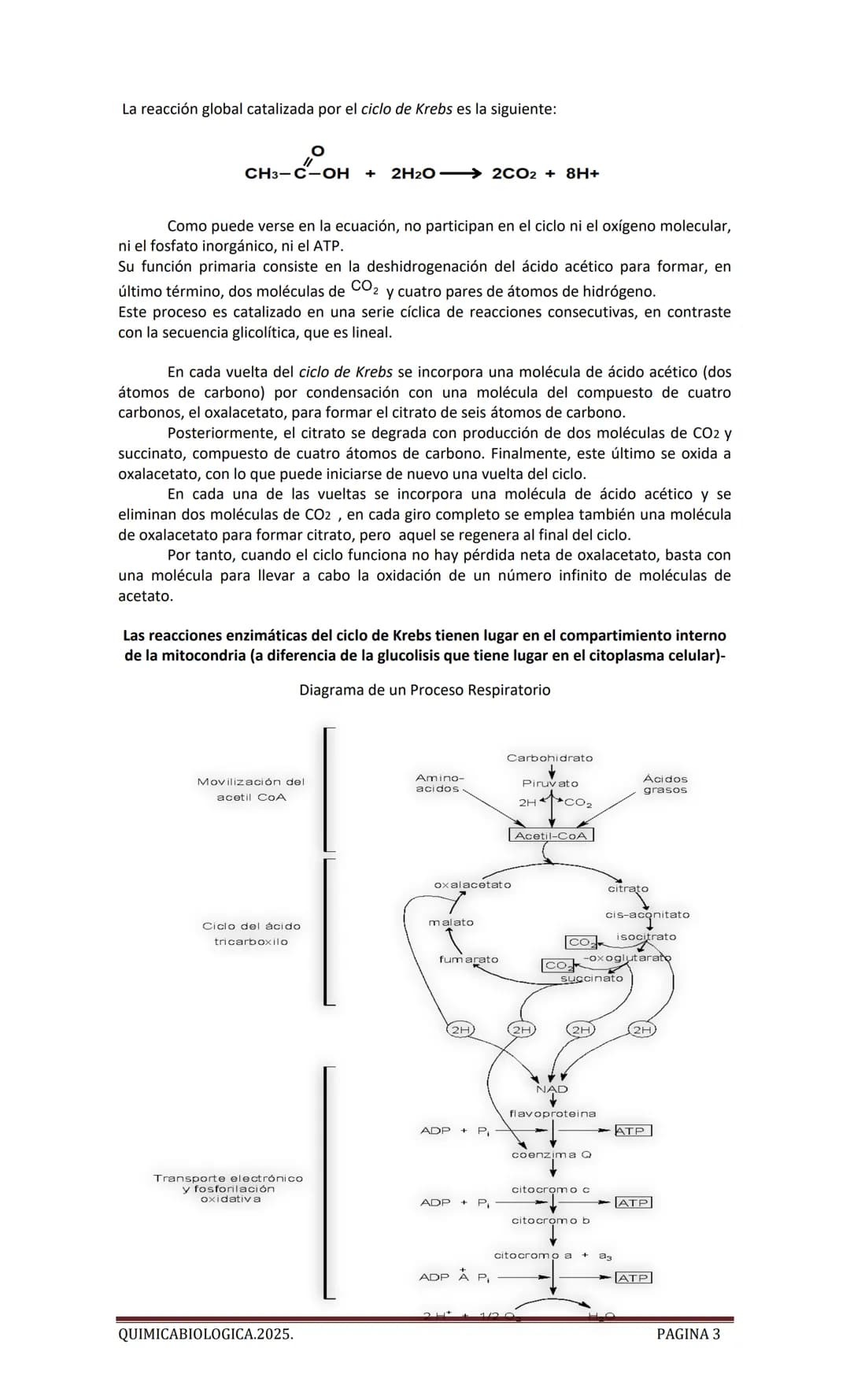 2025
CARTILLA DE METABOLISMO: CICLO DE
KREBS. CADENA RESPIRATORIA. LANZADERA
G3P. VIA DE LAS PENTOSAS.
Acetil-CoA 20 Citrato
H20
NADH+H
CO