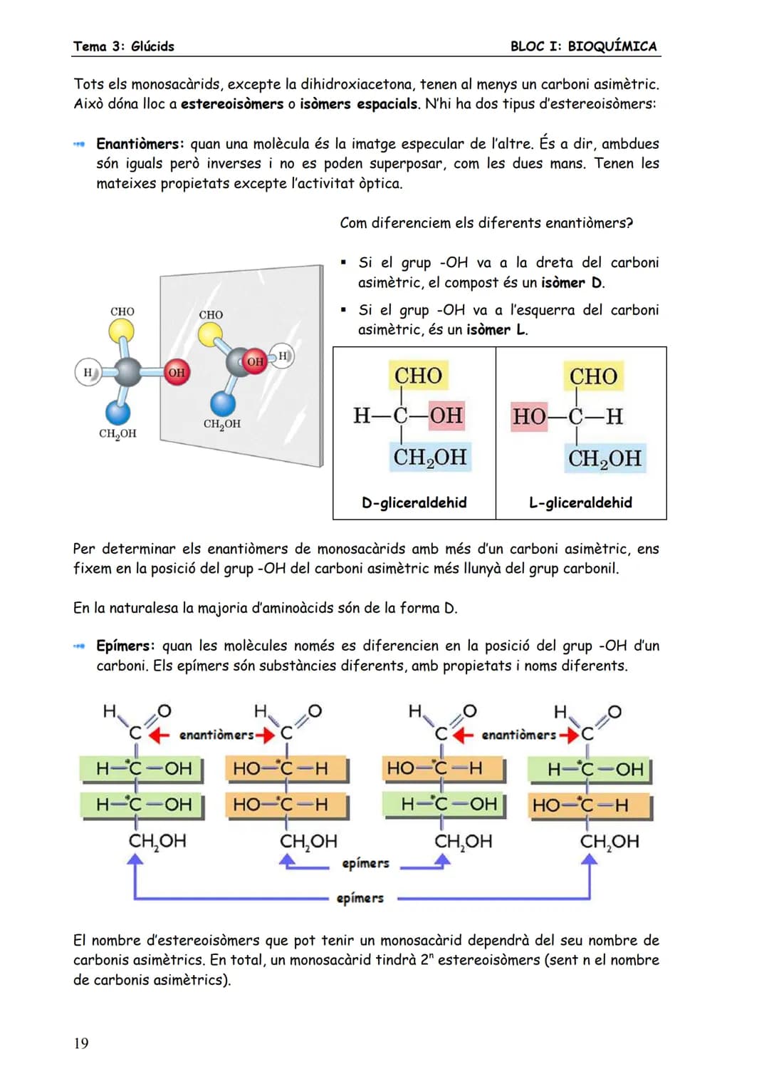Tema 3: Glúcids
BLOC I: BIOQUÍMICA
# 3. MONOSACARIDS
Els monosacàrids són glúcids senzills constituïts per una sola cadena de carbonis (de