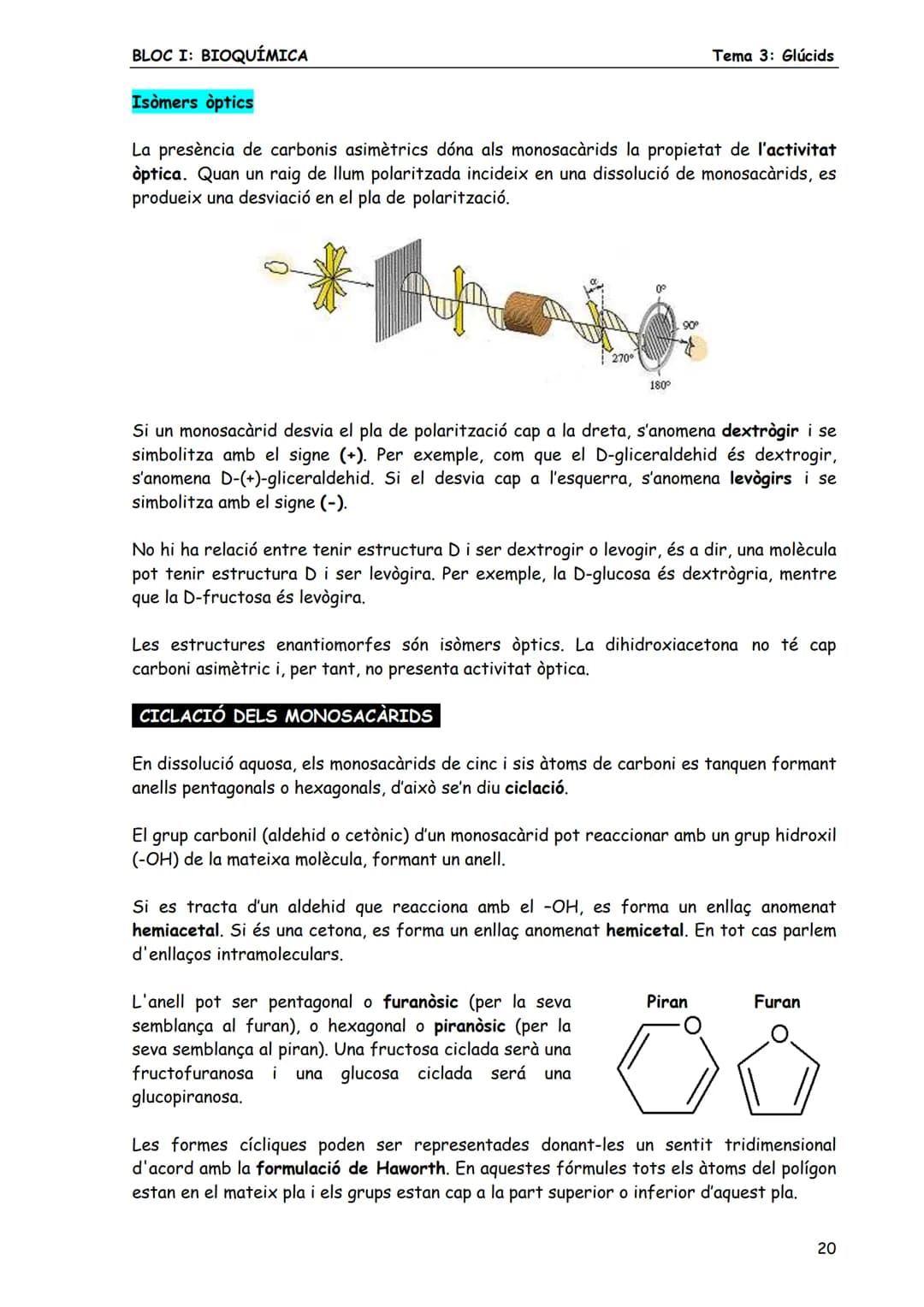 Tema 3: Glúcids
BLOC I: BIOQUÍMICA
# 3. MONOSACARIDS
Els monosacàrids són glúcids senzills constituïts per una sola cadena de carbonis (de