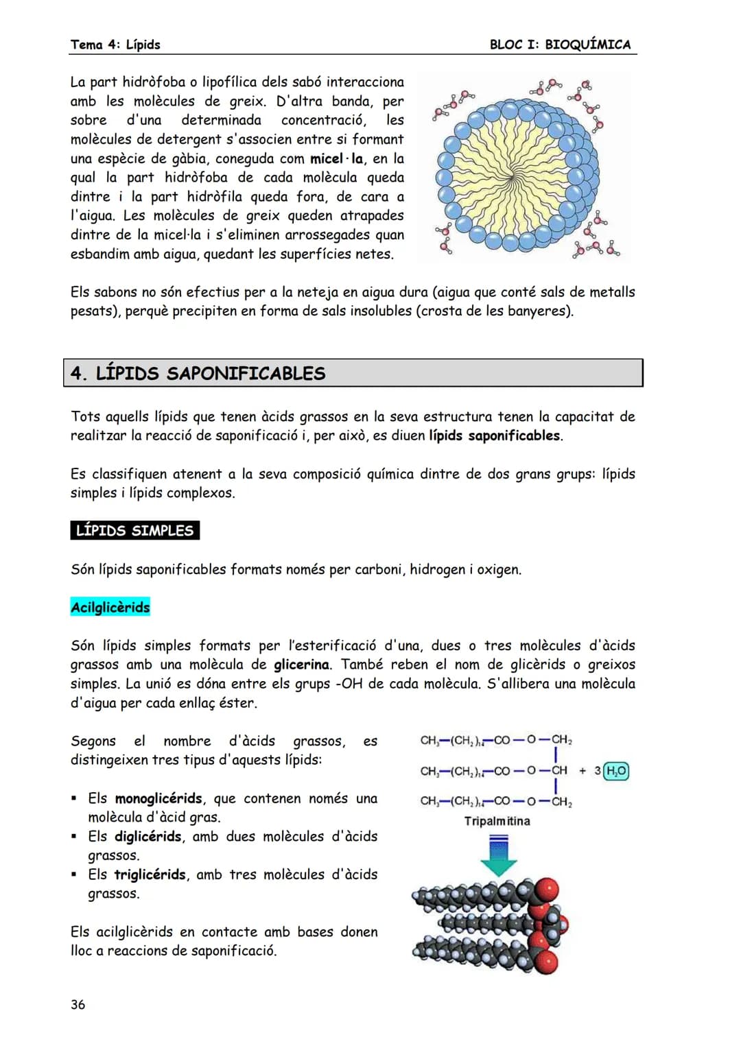 BLOC I: BIOQUÍMICA
Tema 4: Lípids
LÍPIDS
1. CONCEPTE DE LÍPID
Els lípids són biomolècules orgàniques formades bàsicament per carboni, hid