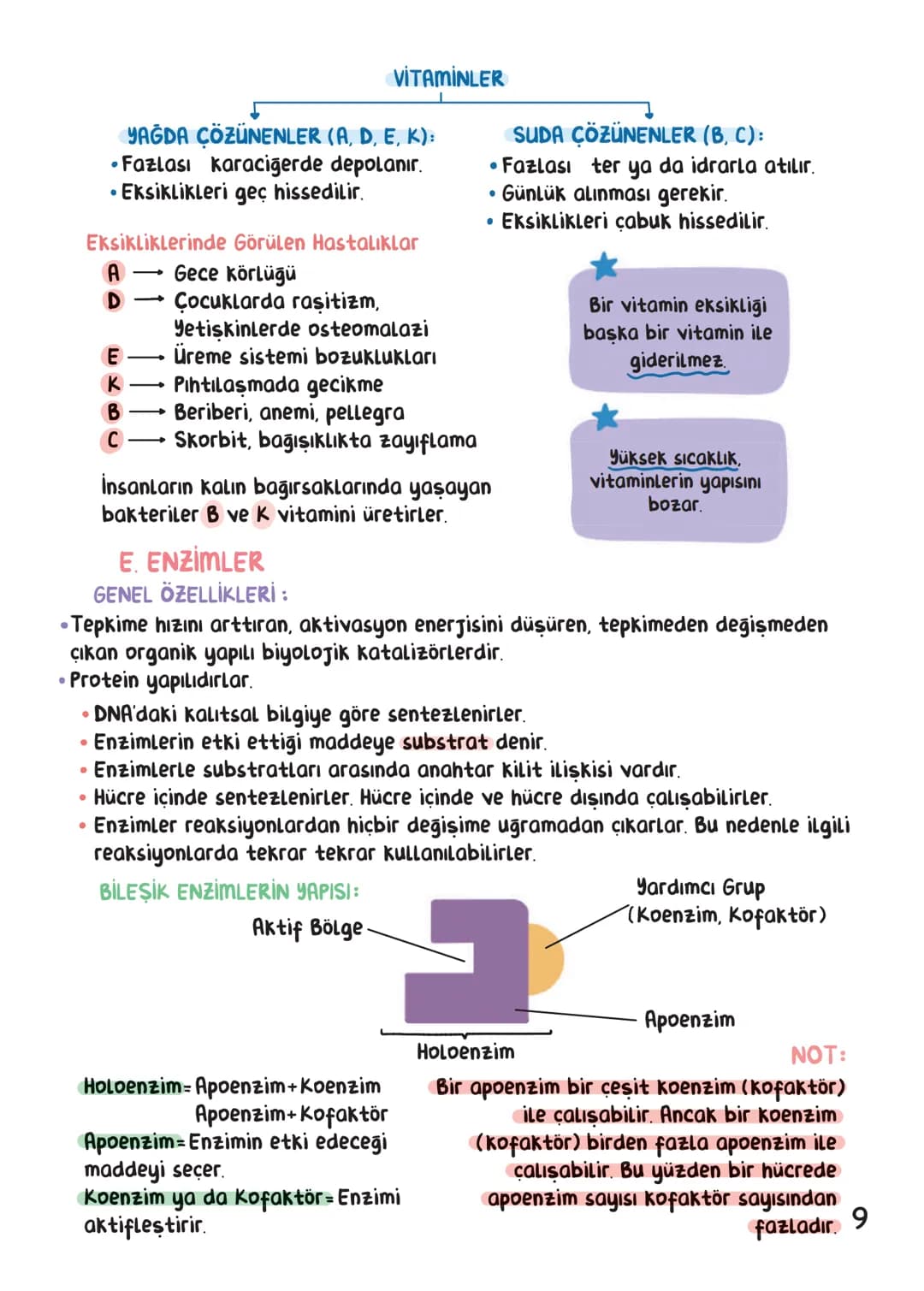 BİYOLOJİ
İÇİNDEKİLER
Canlıların Ortak Özellikleri
1
Canlıların Temel Bileşenleri.
3
Hücre
13
Canlıların Sınıflandırılması.
28
Hücre Bölünm