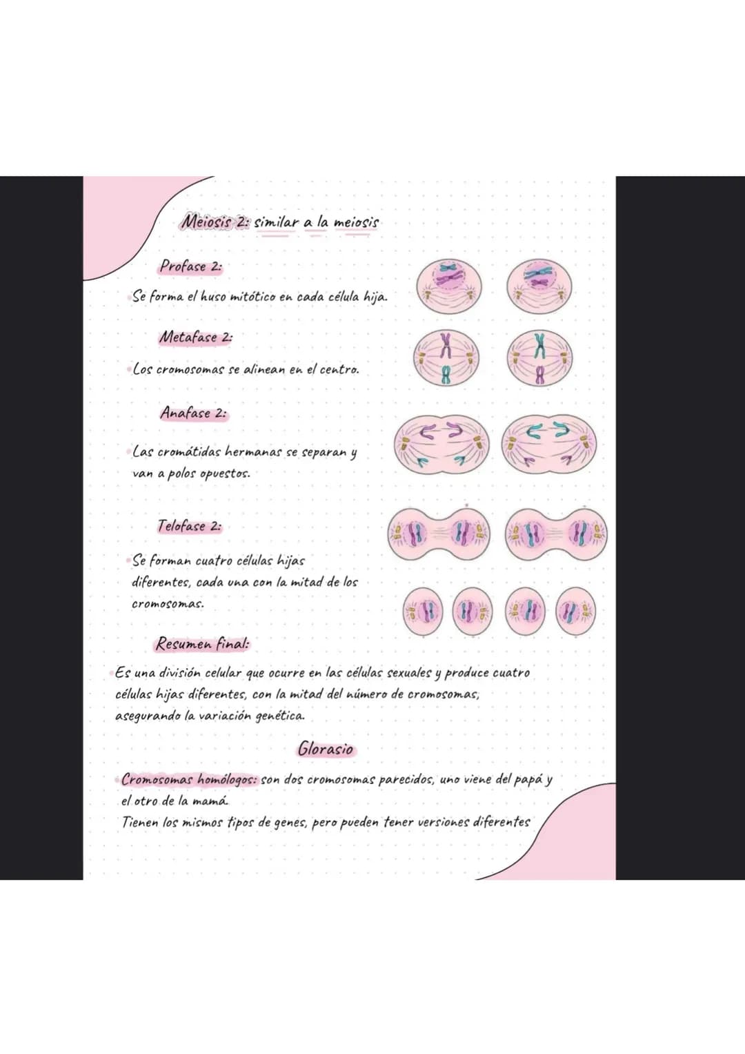 # La célula
¿Que es la célula?
La célula es la unidad más pequeña de la vida. La célula están formadas por organelas
En ella existen dos t