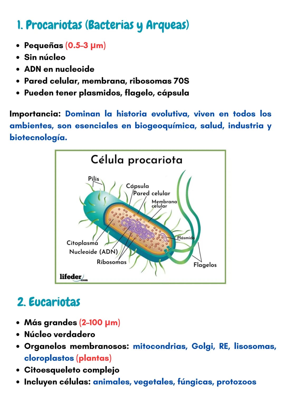 # Introducción a la
Biologia
1.- ¿Qué es la Vida?
Un ser vivo se define como un sistema
complejo, organizado, independiente y
con estruct