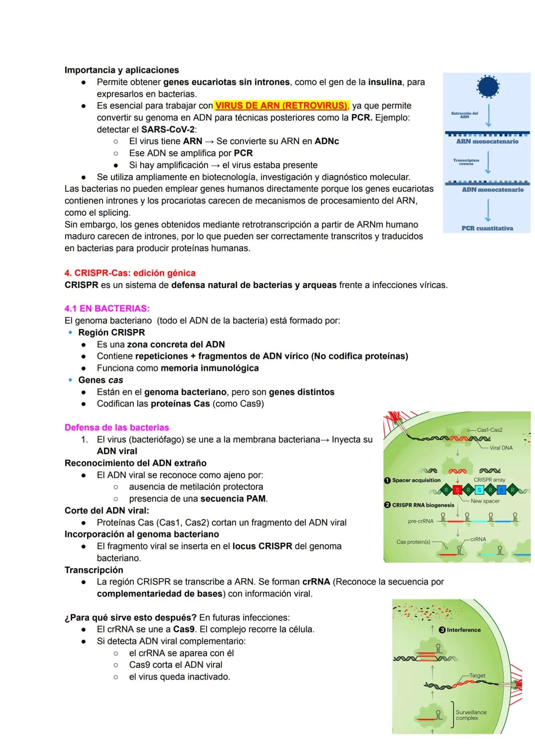 # TEMA 14: BIOTECNOLOGÍA
La biotecnología consiste en la utilización de las propiedades y los componentes de los seres vivos
para fines prác