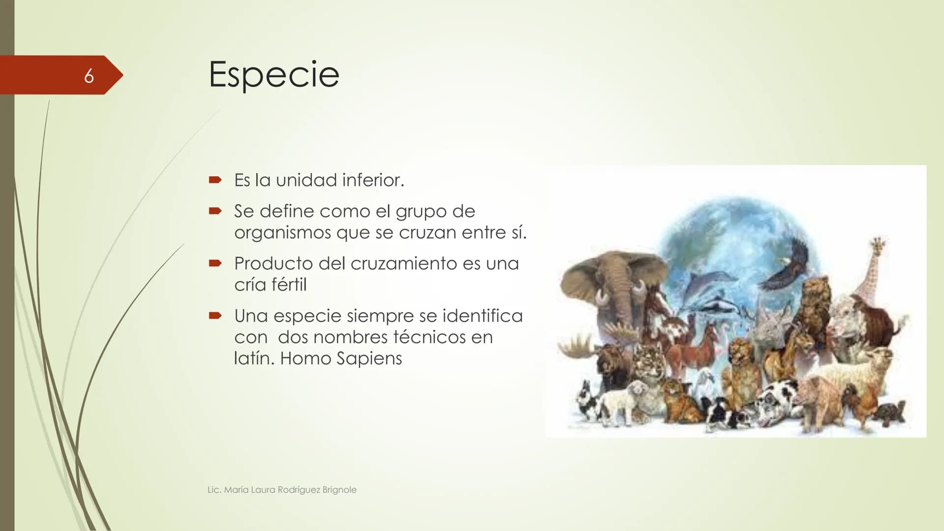 # Biología
1
Lic. María Laura Rodríguez Brignole
Lic. María Laura Rodríguez Brignole # 2
Lic. María Laura Rodríguez Brignole 3
# Ciencia