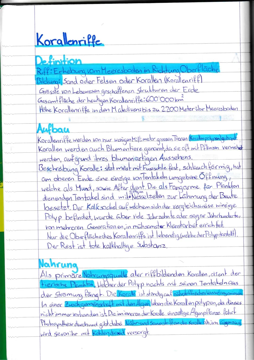 # Korallenriffe
## Definition
Riff: Erhebung vom Meeresboden in Richtung Oberfläche
Bildung: Sand oder Felsen oder Korallen (Korallenriff)