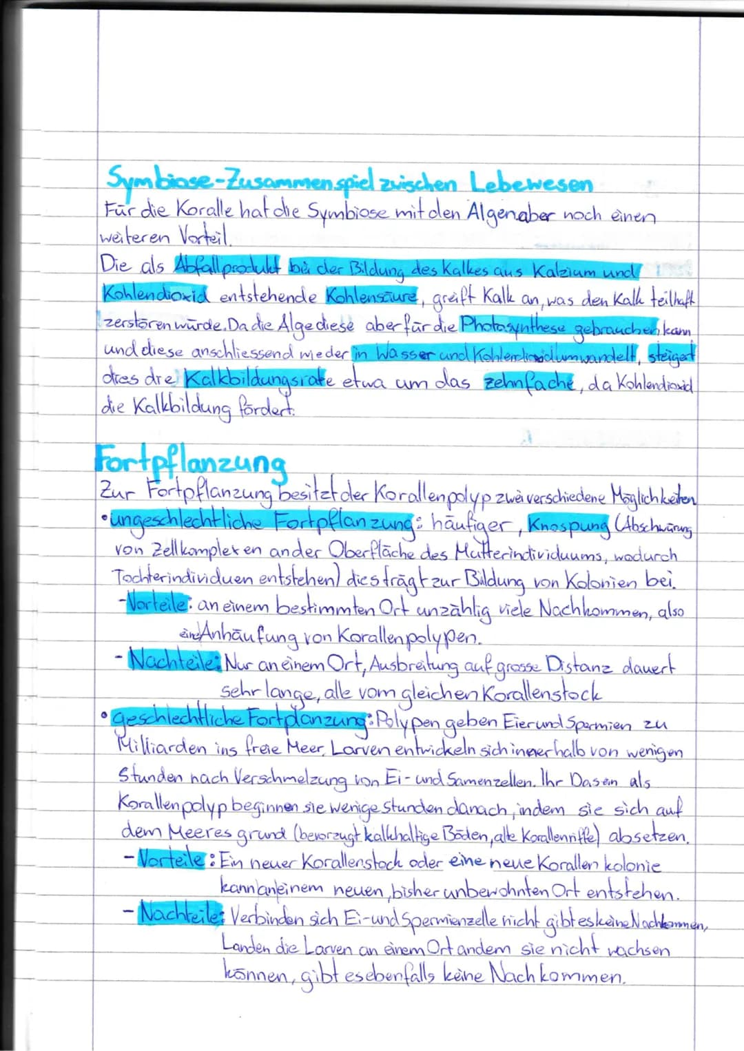 # Korallenriffe
## Definition
Riff: Erhebung vom Meeresboden in Richtung Oberfläche
Bildung: Sand oder Felsen oder Korallen (Korallenriff)