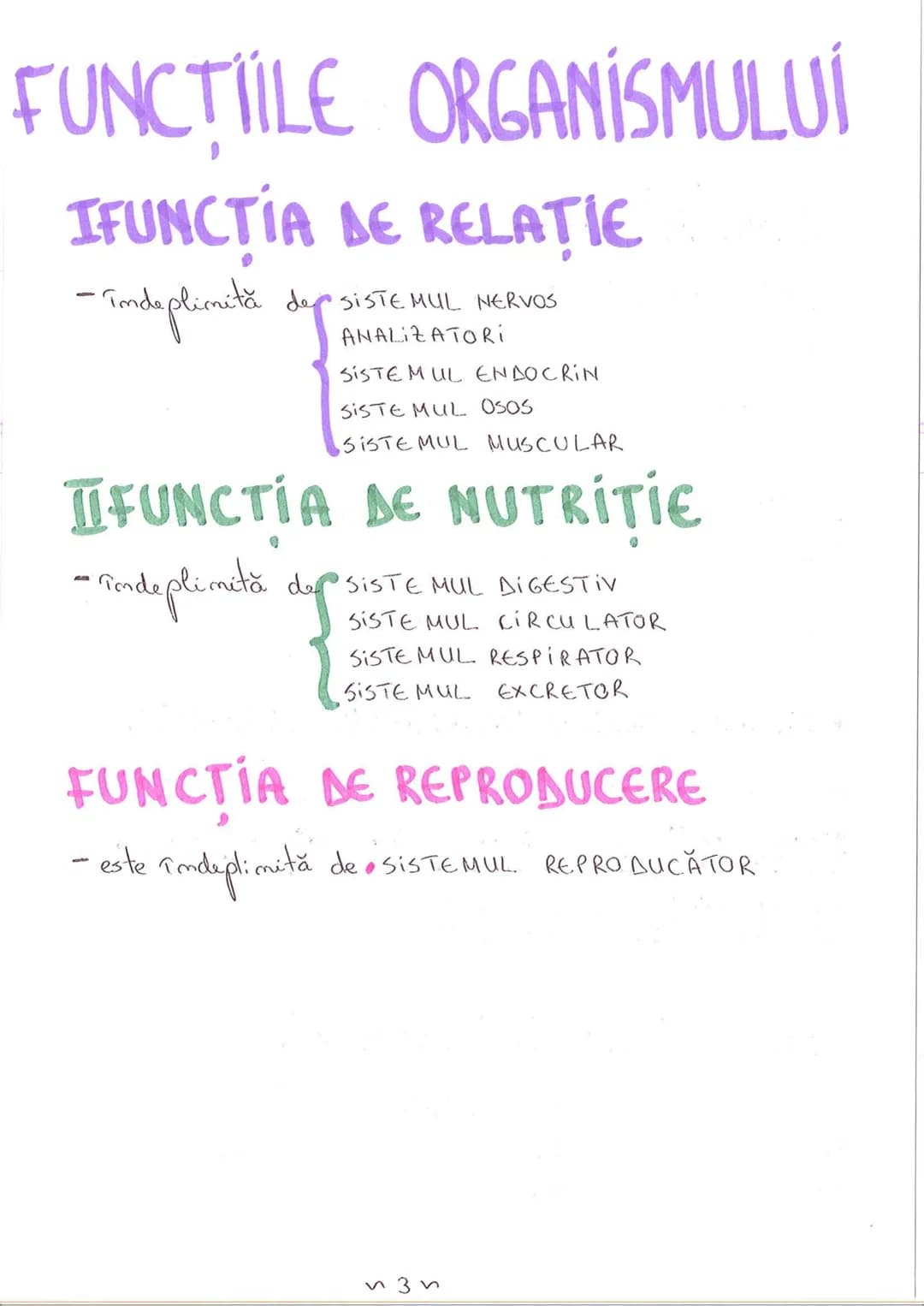 # SEGMENTELE CORPULUI UMAN
I CAP - alcătuit din
- NEUROCRANIU
- VISCEROCRANIU
II GÂT
III TRUNCHI format din
- TORACE
- ABDOMEN