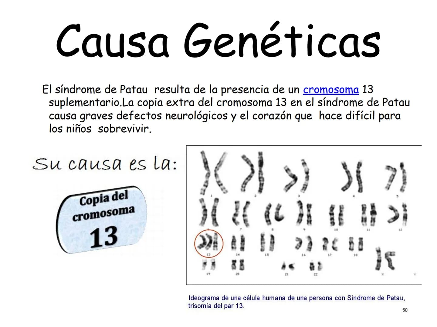 # ¿Que es el Síndrome
de Patau?
El síndrome de Patau, también conocido como trisomía en
el par 13, trisomía D' o síndrome de Bartholin-Pata