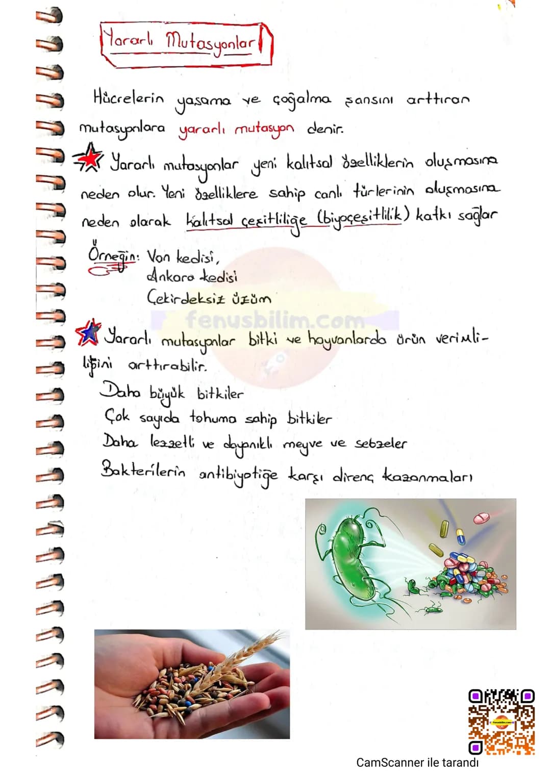 # MUTASYON
DNA'nın kendini eşlemesi sırasında oluşan hatalı
eşleşmeler ya da eşlenmeme gibi durumlarda genlerde
değişmeler meydono gelir.
DN