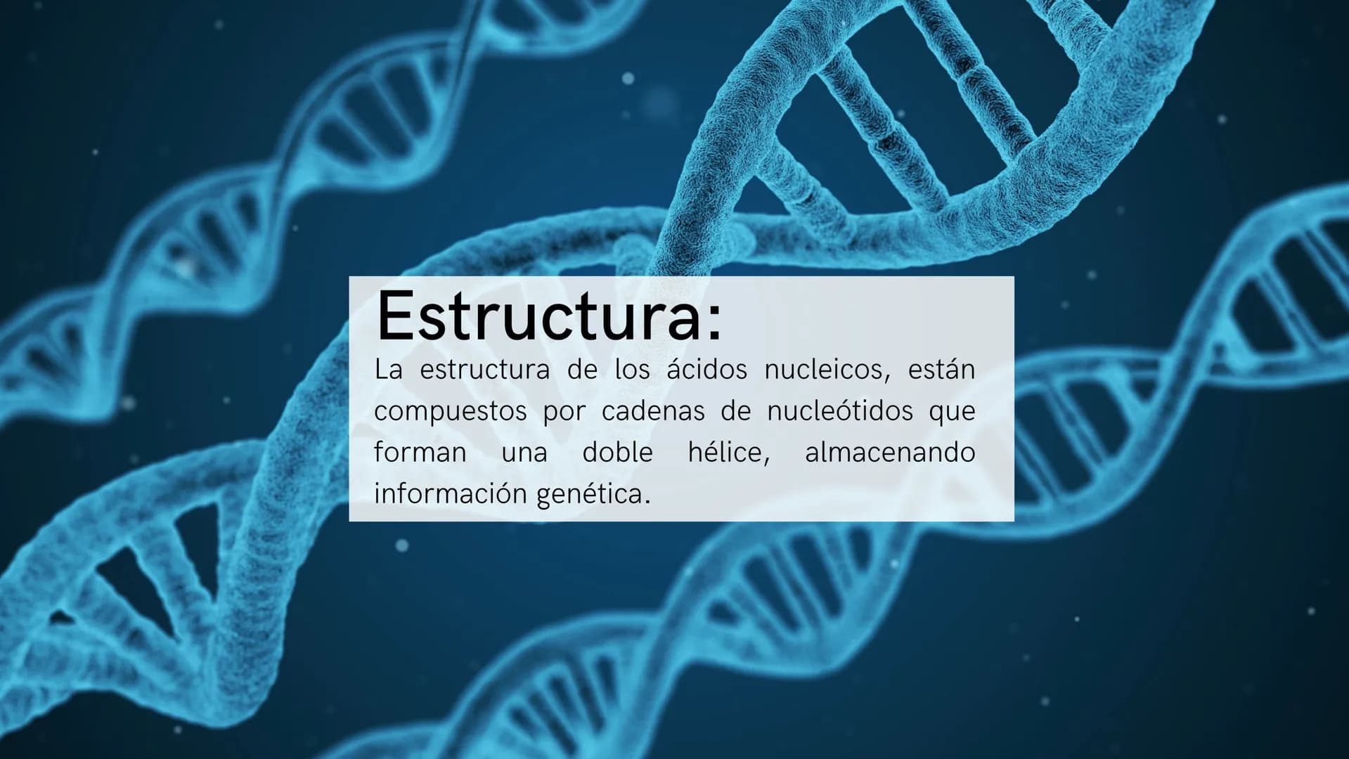 # ¿Qué son?:
Los ácidos nucleicos son biomoléculas que
almacenan y transmiten información genética
en forma de secuencias de nucleótidos. Es